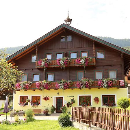 Haufhof-Pension Am Bauernhof, Haus Im Ennstal Bei Schladming Ngoại thất bức ảnh