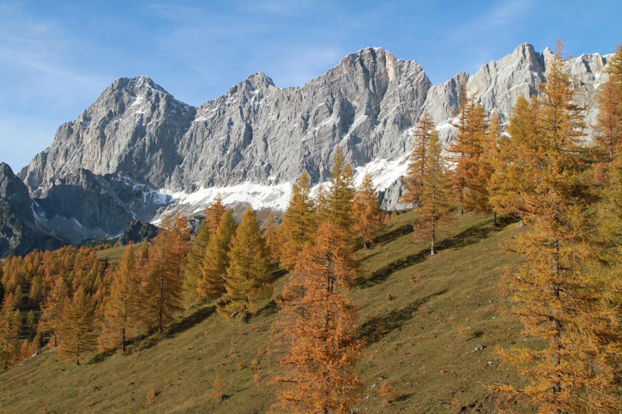 Haufhof-Pension Am Bauernhof, Haus Im Ennstal Bei Schladming Ngoại thất bức ảnh