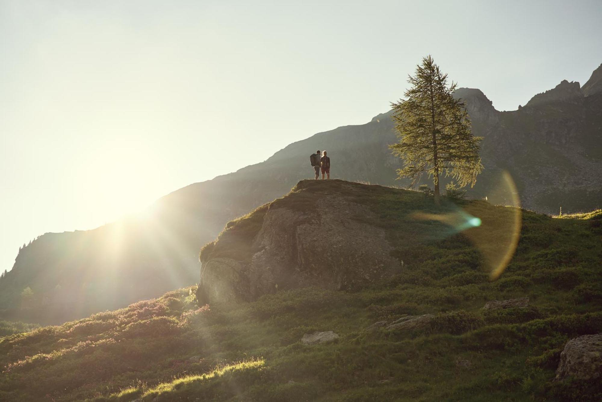 Haufhof-Pension Am Bauernhof, Haus Im Ennstal Bei Schladming Ngoại thất bức ảnh