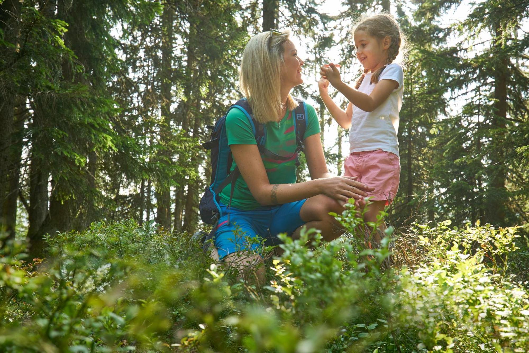 Haufhof-Pension Am Bauernhof, Haus Im Ennstal Bei Schladming Ngoại thất bức ảnh